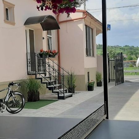 Three Rivers Apartments - Private Free Parking, Self Check-In Oradea Eksteriør billede